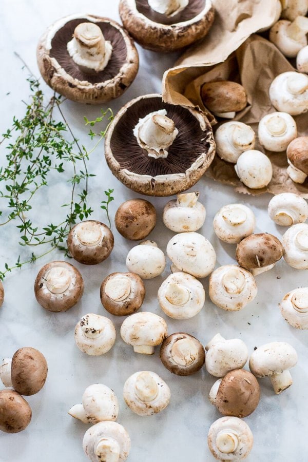 Creamy Portobello Mushroom Soup - The Girl on Bloor