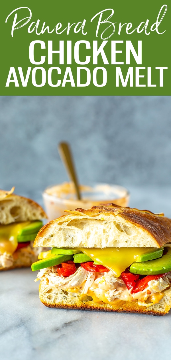 This Chipotle Chicken Avocado Melt is a copycat of the Panera Bread sandwich, complete with focaccia bread, smoked gouda & roasted red peppers! #panerabread #avocadomelt