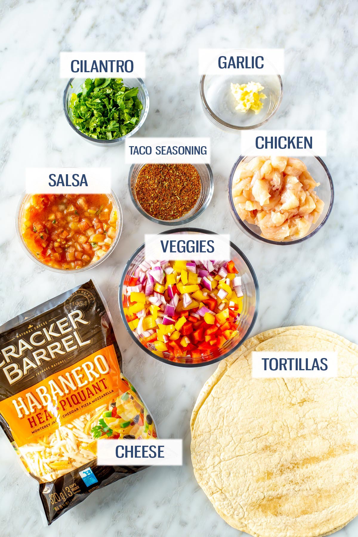 Ingredients for chicken quesadillas: cilantro, garlic, salsa, taco seasoning, chicken breast, veggies, cheese, and tortillas.