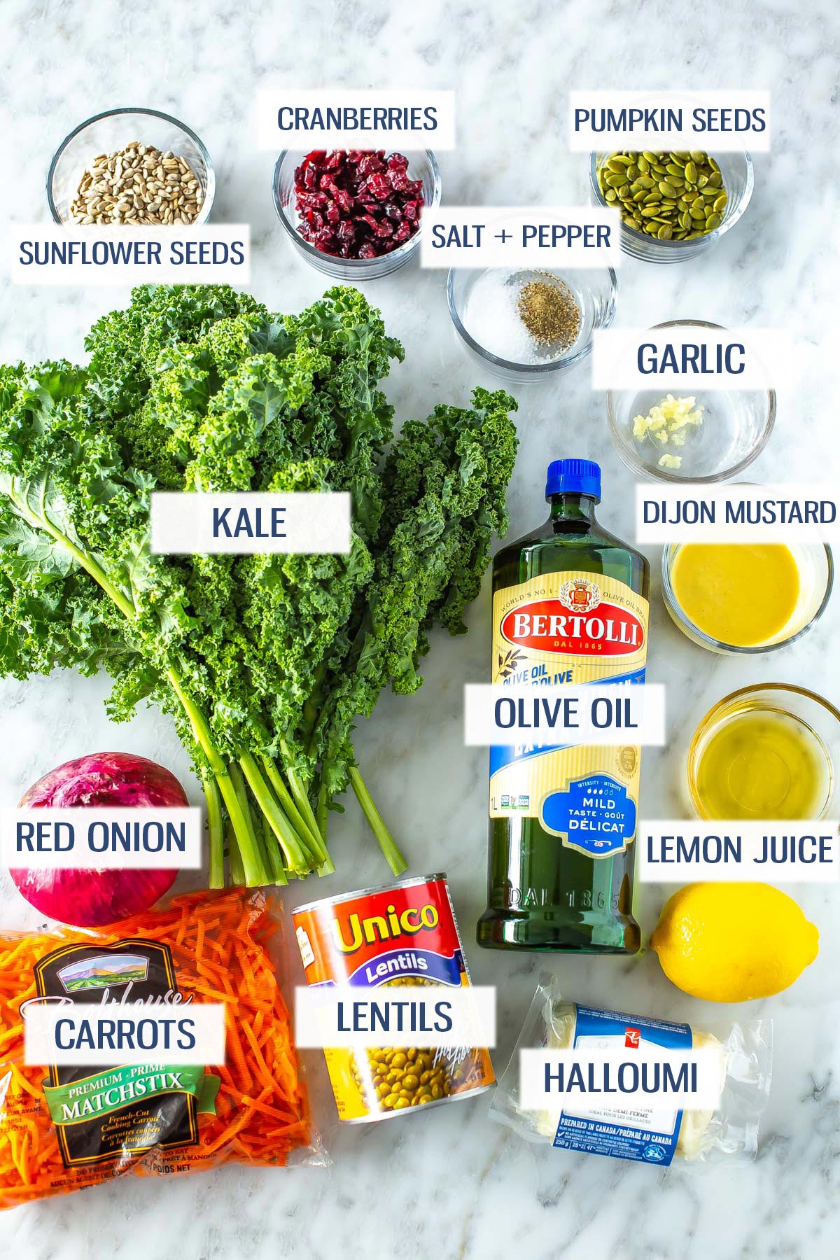 Ingredients for making kale salad: sunflower seeds, dried cranberries, salt, pepper, pumpkin seeds, kale, garlic, olive oil, Dijon mustard, lemon juice, red onion, carrots, lentils, and halloumi cheese.