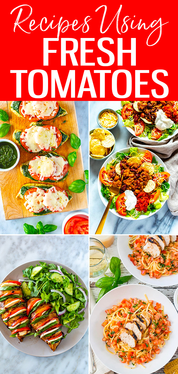 The easy fresh tomato recipes are the best dishes to make during tomato season! Try salsas, salads and more delicious family favourites. #freshtomatoes #recipes