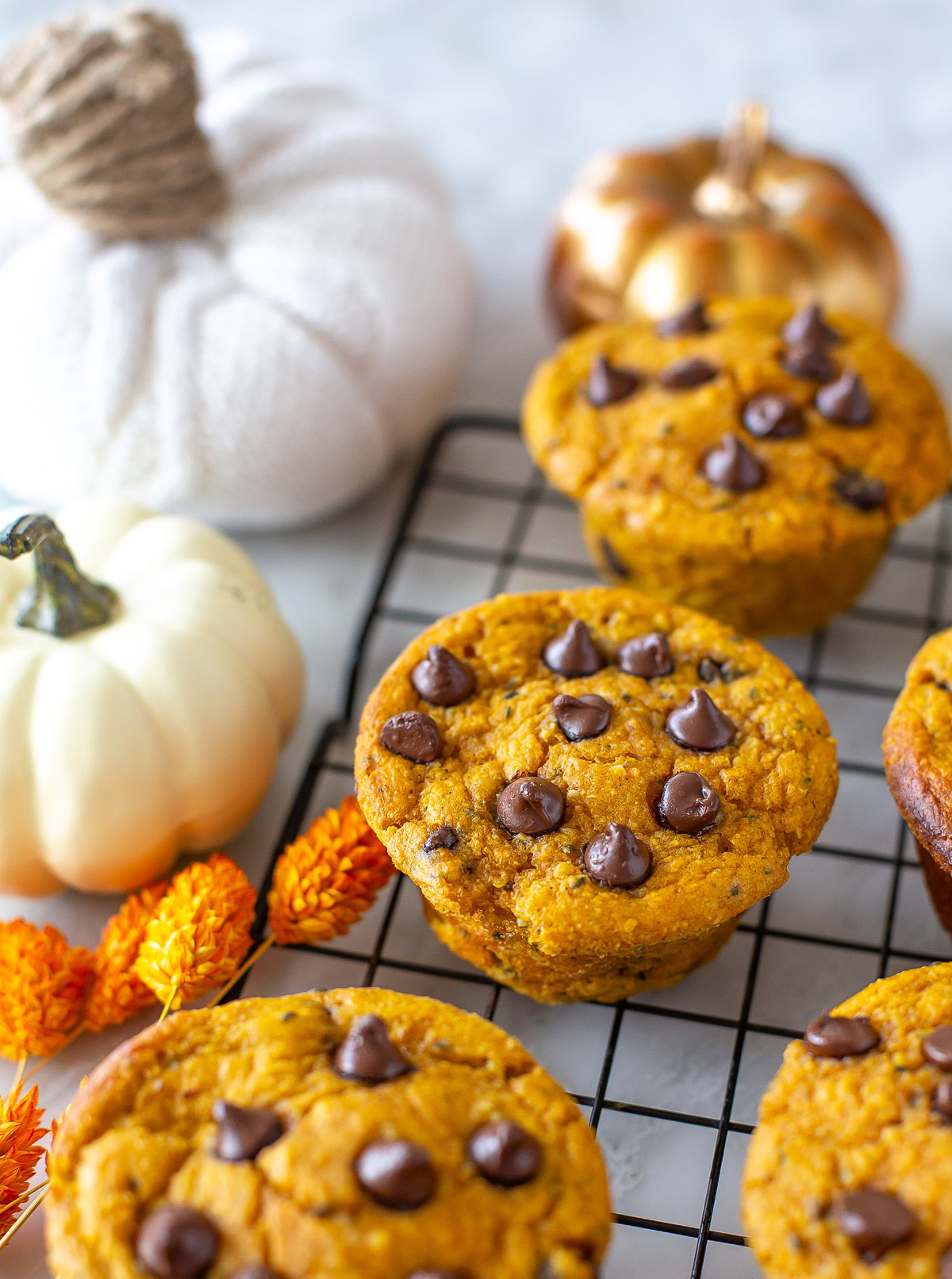 Side shot of several pumpkin protein muffins with chocolate chips on a cooling rack with decorative pumpkins.