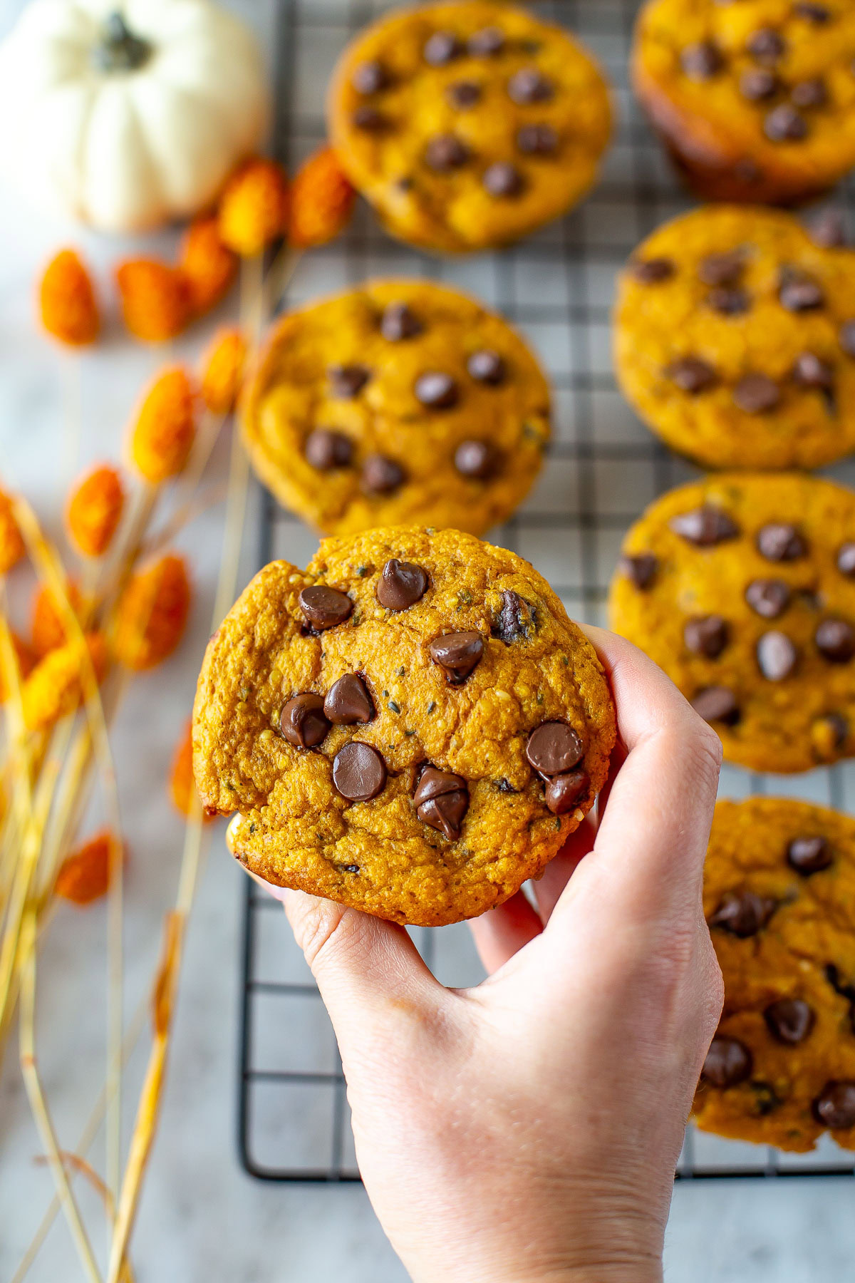 A hand holds up a pumpkin protein muffin with chocolate chips over a cooling rack with more muffins.