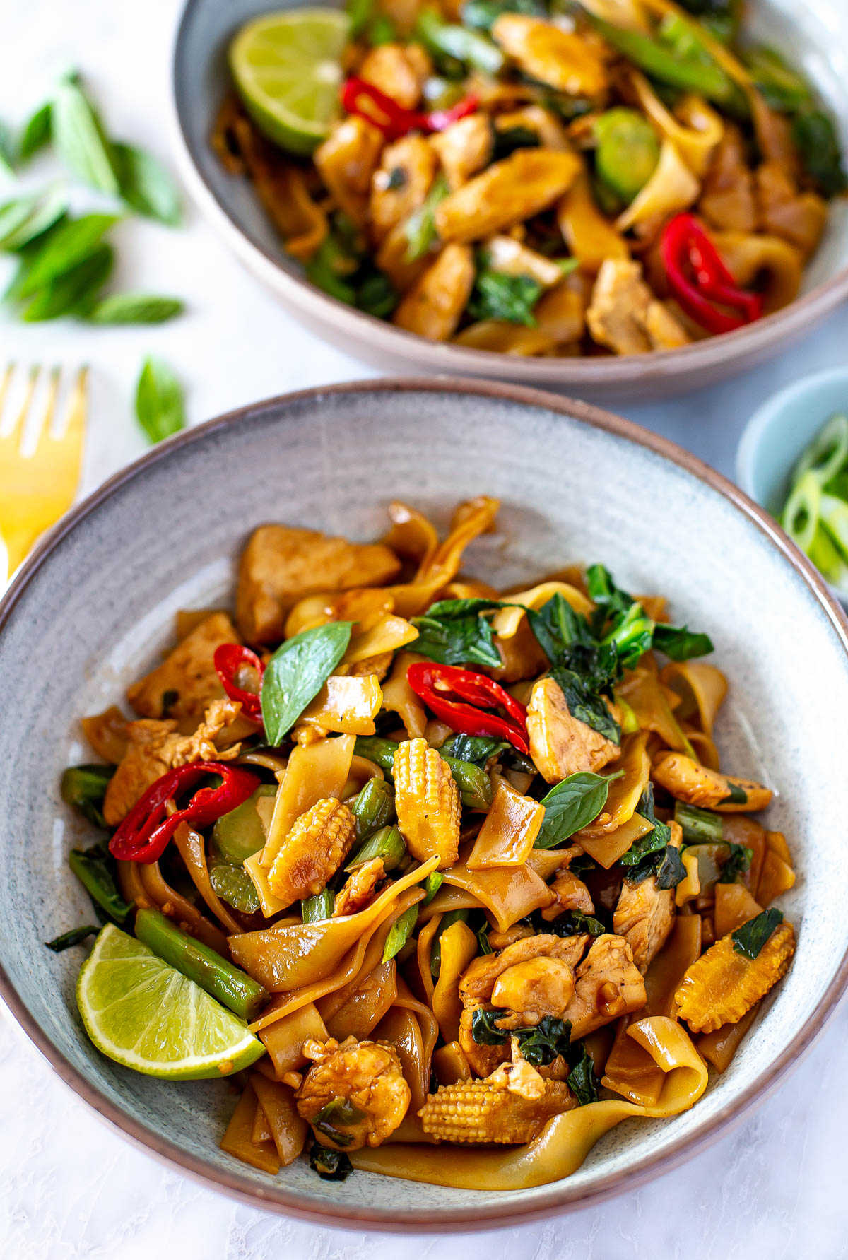 Close up of plated drunken noodles