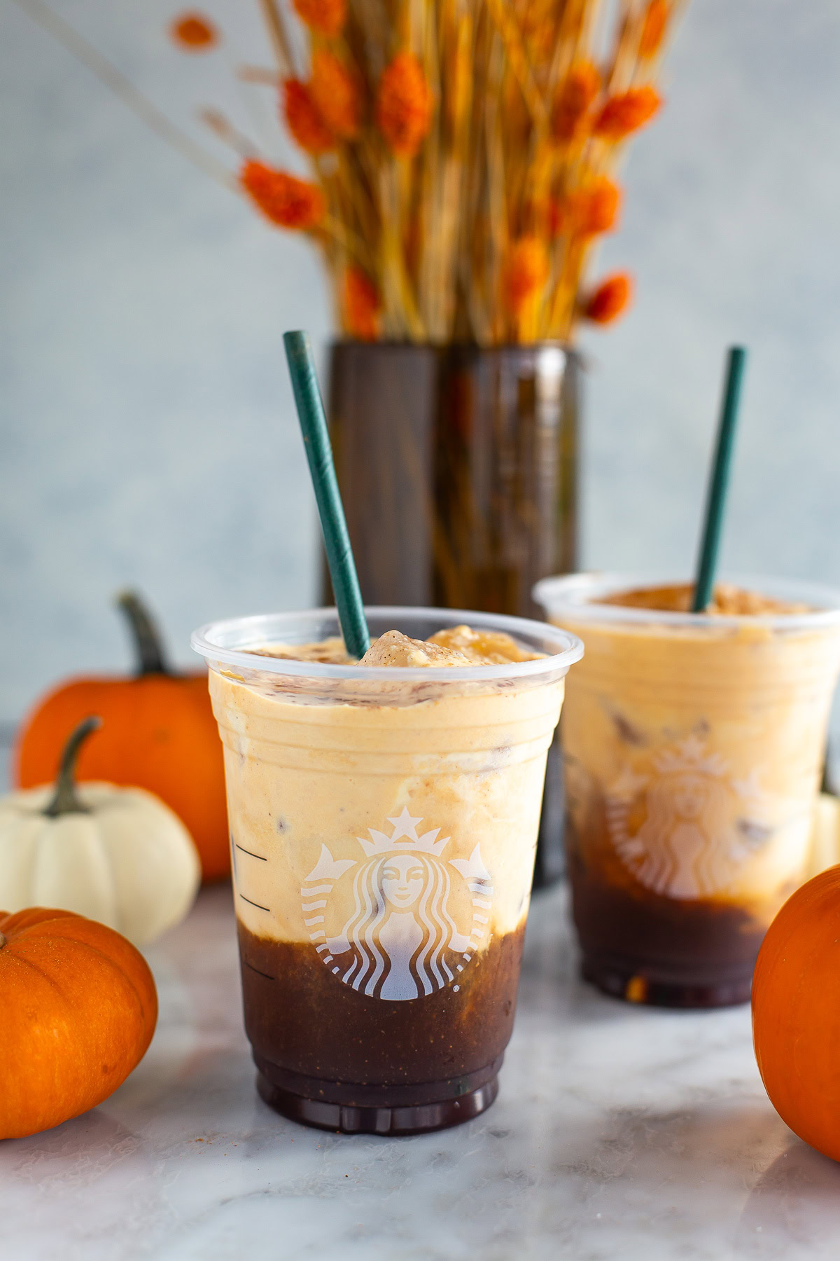 Pumpkin cream cold brew