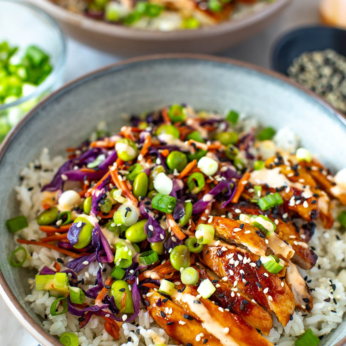 Side shot of a Teriyaki Bowl with another blurred in the background.